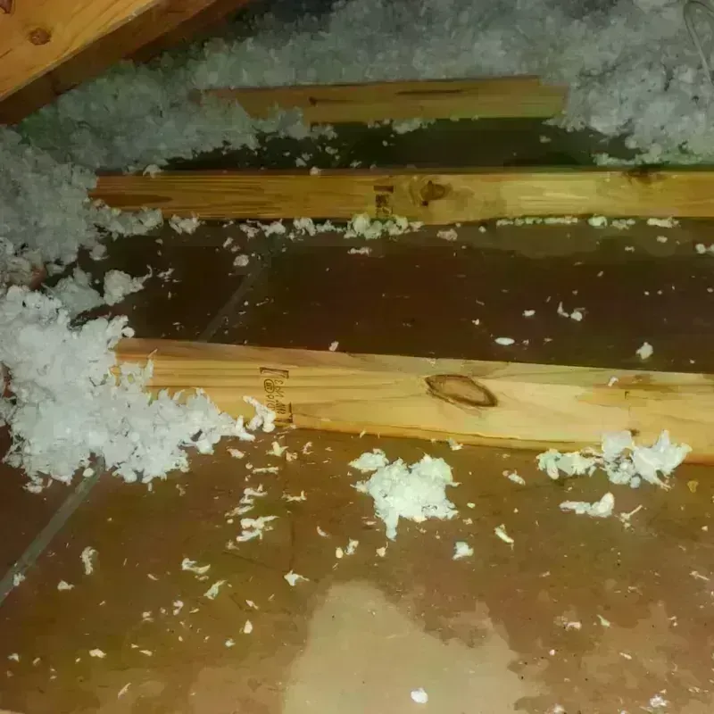 Attic Water Damage in Mountain View, WY