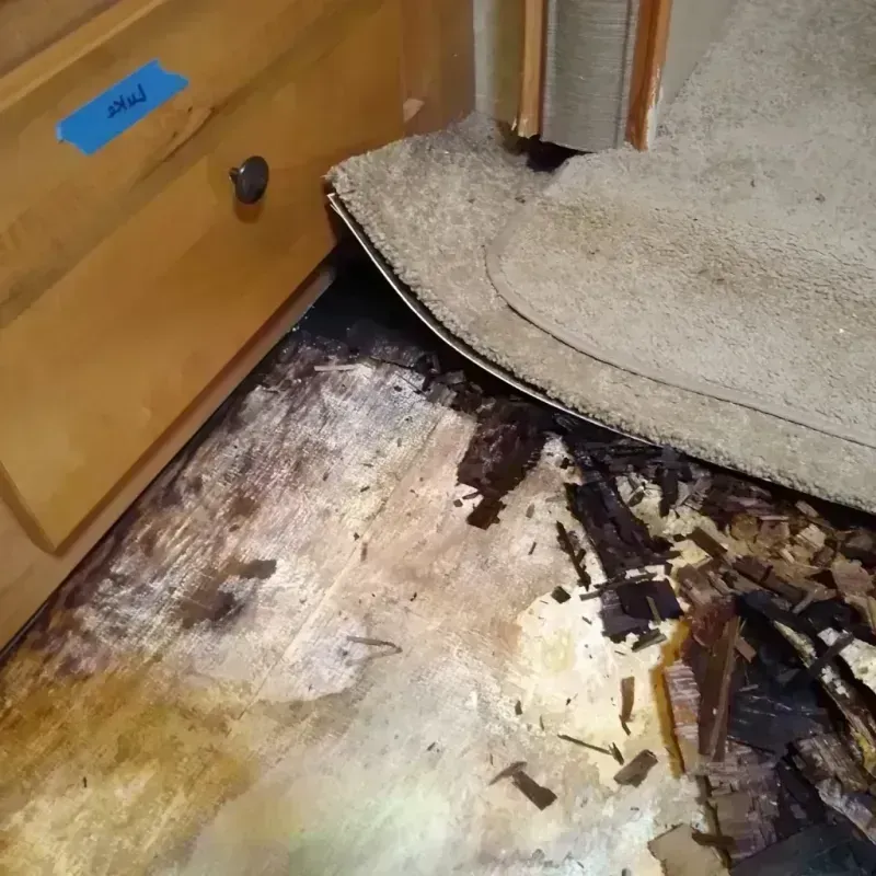 Wood Floor Water Damage in Mountain View, WY